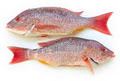Marine World Seafood Cafe image 1