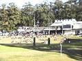 Maroochydore Junior Rugby League Club Inc logo