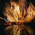 Mole Creek Karst National Park logo