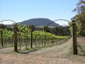 Mount Buninyong Winery image 3