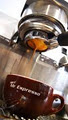 Mr Espresso Botany image 3