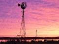 Mundoo Island & Coorong Tours image 3