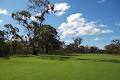 Murtoa Golf Club image 2