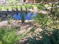 Natural Edge Garden Service image 3