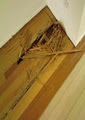 Nature's Best Floor Sanding image 3