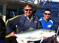 Newcastle Fishing Charters image 3