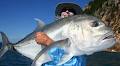 Nomad Sportfishing Adventures image 2