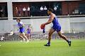 North Melbourne Football Club image 6