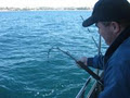 North Sea Fishing Charters image 1