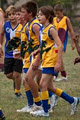 Northcote Junior Football Club image 4