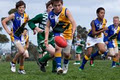 Northcote Junior Football Club logo