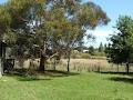 Northern Tablelands Property image 2