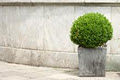 Planter Boxes Online image 3