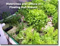 Practical Aquaponics image 5