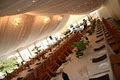 Prestige Event Hire image 3