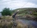 Red Tag Trout Tours image 5