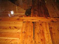 Refined Flooring image 2