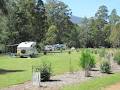 Rivers Edge Camping image 2