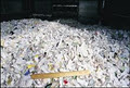 Security Shred Australia image 3