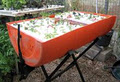 Soladome Aquaculture, Polyculture & Hydroponics image 2