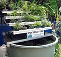 Soladome Aquaculture, Polyculture & Hydroponics logo