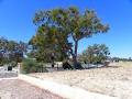 Southern Districts Rural Fencing image 3