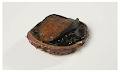 Southern United Seafood Aust Pty Ltd image 1
