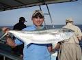 Swordfish Charters Botany Bay logo