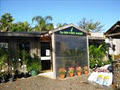 The Fern Forest Nursery image 2