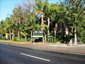 The Fern Forest Nursery image 6