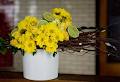 Townsville Flower Market image 6