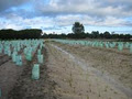 Tranen Revegetation Systems image 2