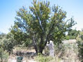 Tranen Revegetation Systems image 4