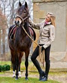 Virtual Tack Shop image 1