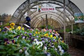 Wandin Valley Nursery image 4