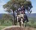 Werriberri Trail Rides image 2