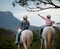 Werriberri Trail Rides logo