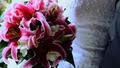 White Studios Wedding Videos image 6