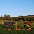 Winmallee Classical Riding image 4