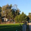 Winmallee Classical Riding image 6