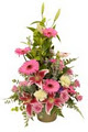 florists online gold coast logo