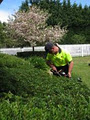 Crown Lawn & Garden Services image 3