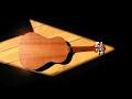 Doriean Guitars image 5