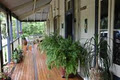 Eumundi Gridley Homestead B&B image 5