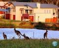 Grand Mercure Apartments The Vintage, Hunter Valley image 3