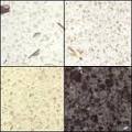 Granite Marble Stone Australia image 5