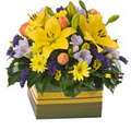 Ivy Florist image 5