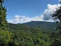 Kallora Retreat Bed & Breakfast image 6