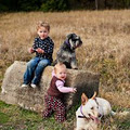 LITTLE TOAD PHOTOGRAPHY - baby | kids | family photos | Sydney image 2