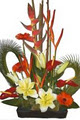 Melbourne Florist Delivery image 1